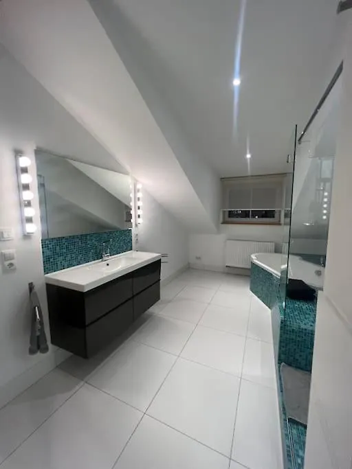 Charmantes Loft In Der Bayreuther City Apartment